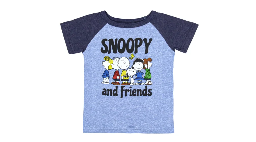 Peanuts Toddler Boys' Snoopy And Friends Raglan Collectible Graphic T-Shirt 