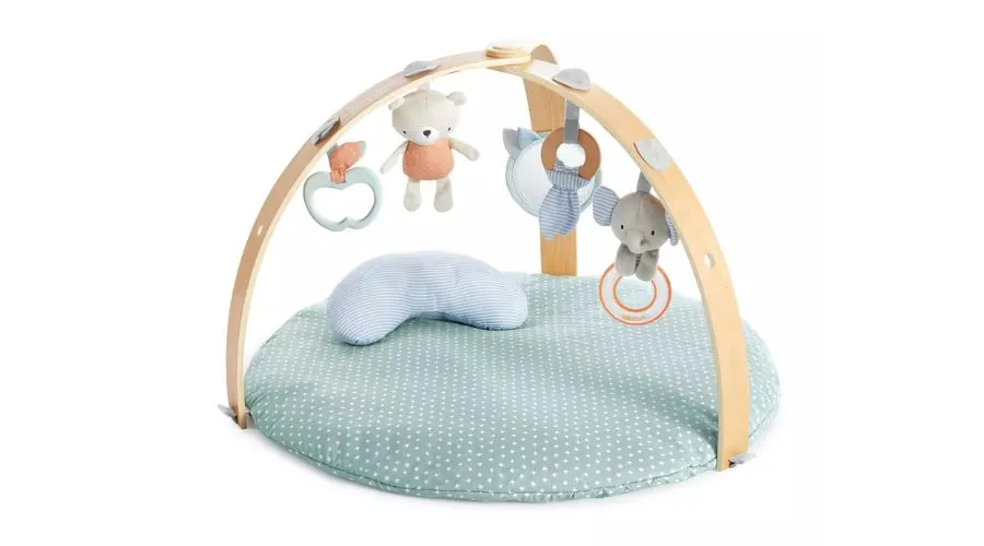 Baby Activity Gyms & Playmats